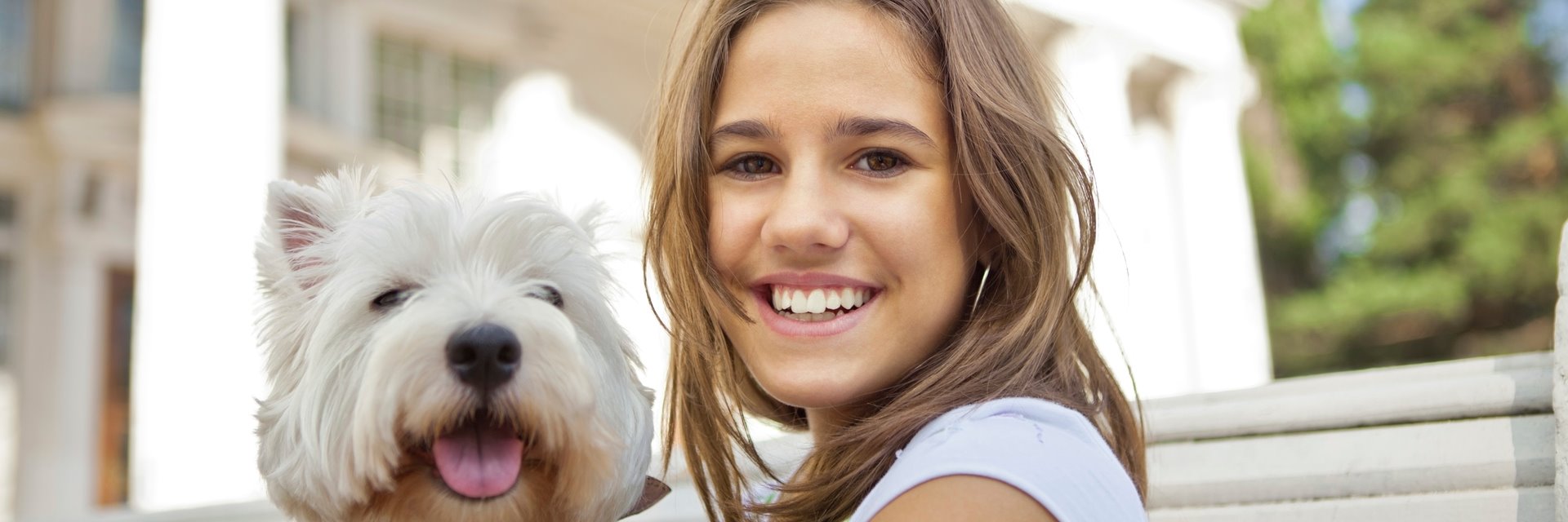 Pet Away package at Hotel Victorian Inn