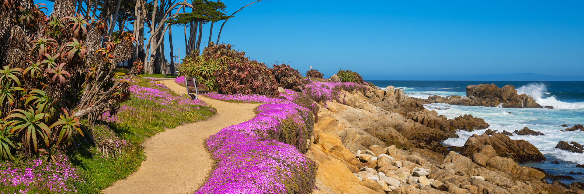 Things To Do In Monterey