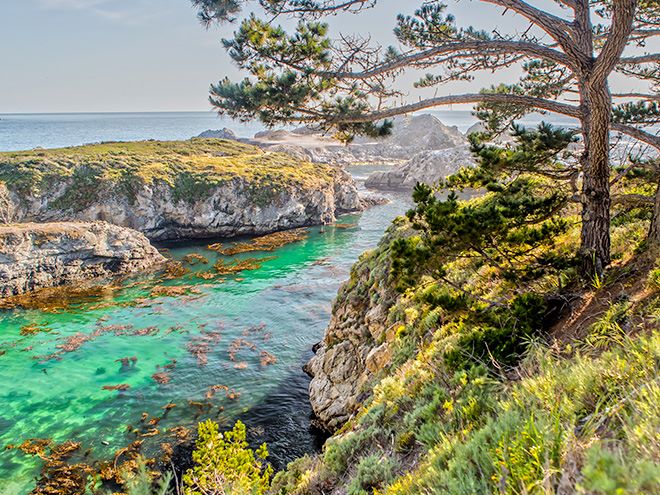 Point Lobos State Reserve | Victoria Inn Monterey, CA